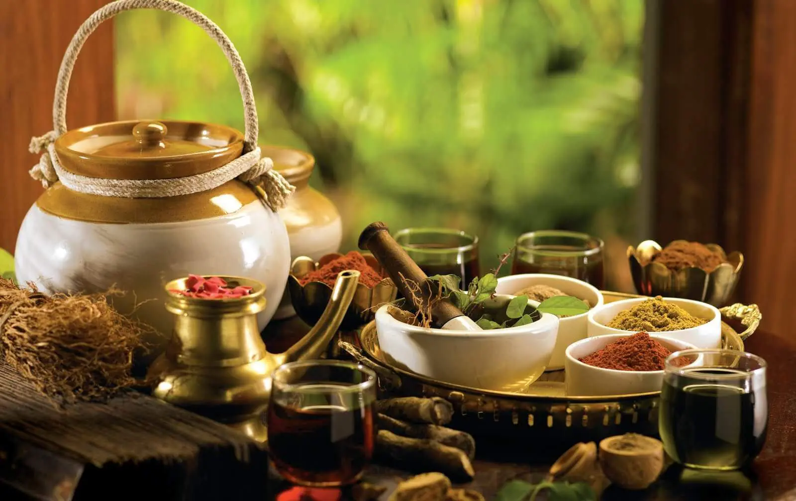 Avagaham herbal bath immersion therapy at 22 Ayur