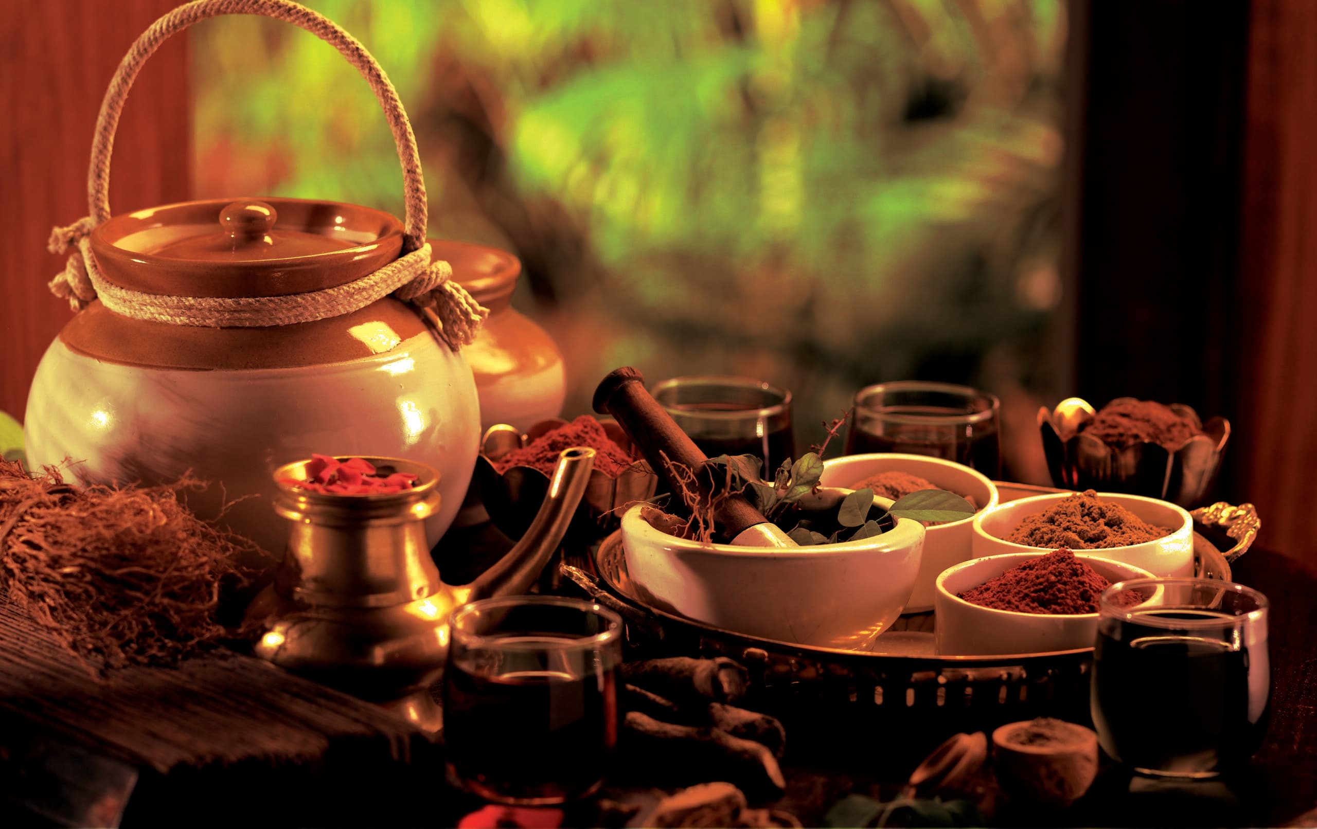 The Healing Power of Ayurveda in Balancing Hormones